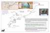 coo1d42 dunedin to srewart island_thumb.gif